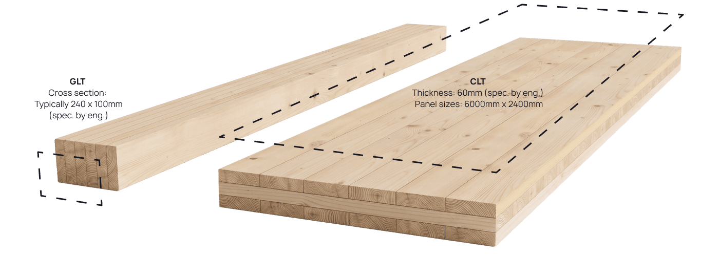 CLT Schema